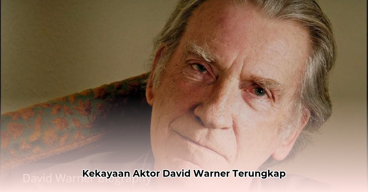 david warner actor net worth
